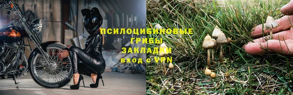 прущий лед Алексин