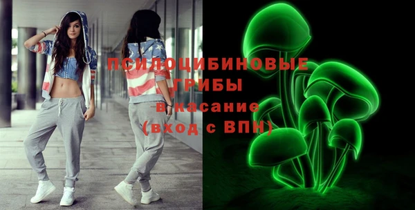 гашик Алзамай